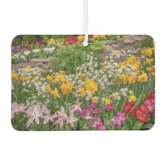 Bunte Frühlingsblumen in voller Blüte Autolufterfrischer (Vorderseite)