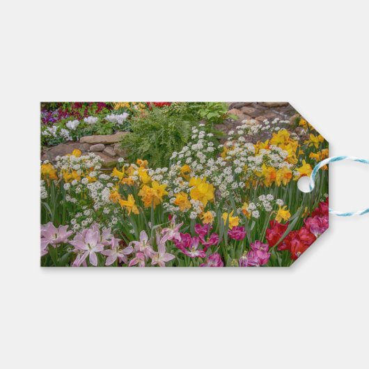 Bunte Frühlingsblumen in voller Blüte Geschenkanhänger (Vorderseite (Horizontal))