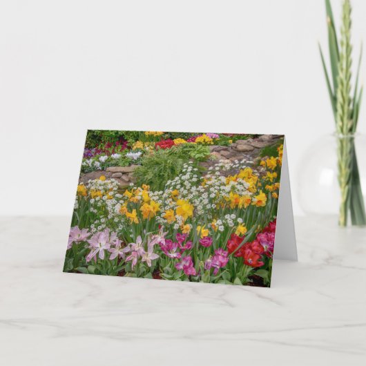 Bunte Frühlingsblumen in voller Blüte Karte (Vorderseite)