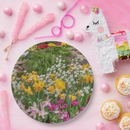 Bunte Frühlingsblumen in voller Blüte Pappteller (Party)
