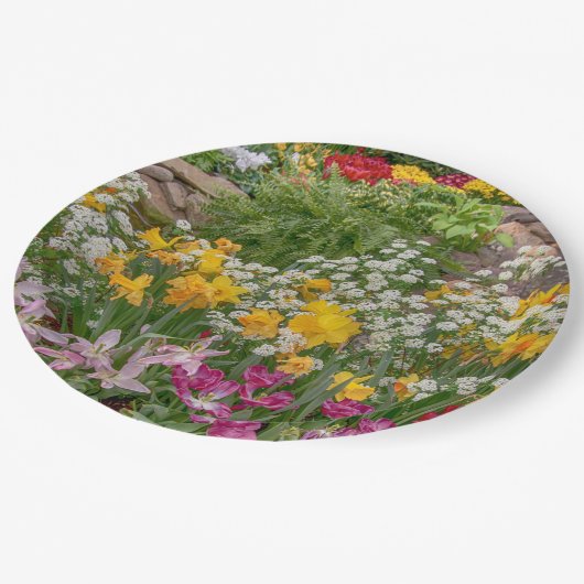 Bunte Frühlingsblumen in voller Blüte Pappteller (Schrägansicht)