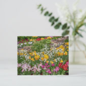 Bunte Frühlingsblumen in voller Blüte Postkarte (Stehend Vorderseite)