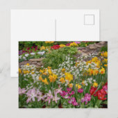 Bunte Frühlingsblumen in voller Blüte Postkarte (Vorne/Hinten)