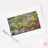 Bunte Frühlingsblumen in voller Blüte Rechteckiger Aufkleber (Umschlag)