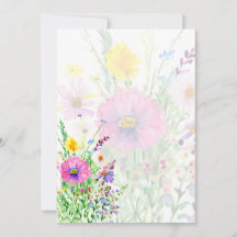 Bunte Frühlingsblüte Wildblumen