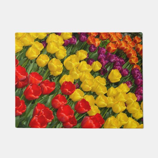 Bunte Frühlingstulpen Fußmatte (Vorderseite)