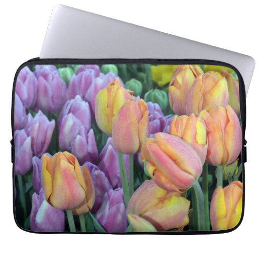 Bunte Frühlingtulips Laptopschutzhülle (Vorderseite)