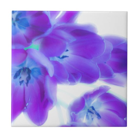 Bunte, girly, romantische, lila Tulpen Fliese (Vorderseite)