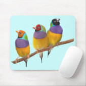 Bunte Gouldian Finke in den Pastellen Mousepad (Mit Mouse)