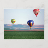Bunte Heißluftballons schwimmen über Weizen Postkarte (Vorderseite)