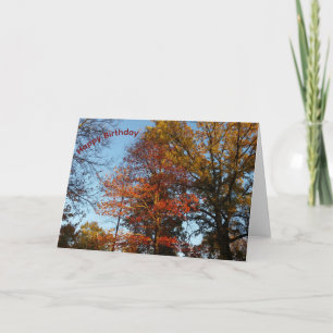 Bunte Herbstbäume Alles Gute zum Geburtstag Karte