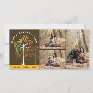 Bunte Herbstbäume Thanksgiving Foto Feiertagskarte