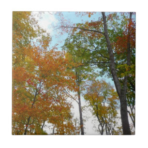 Bunte Herbstblätter in die Höhe blickend Fliese
