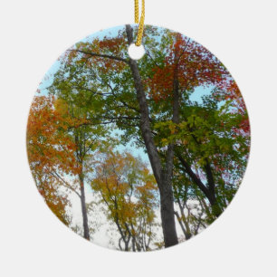 Bunte Herbstblätter in die Höhe blickend Keramikornament