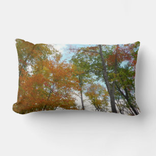 Bunte Herbstblätter in die Höhe blickend Lendenkissen