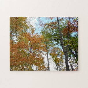 Bunte Herbstblätter in die Höhe blickend Puzzle