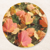 Bunte Herbstblätter Runder Pappuntersetzer (Vorderseite)