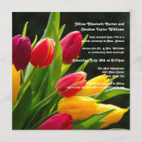Bunte Hochzeits-Mitteilung des Tulpe-Foto--5x5