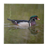 Bunte hölzerne Ente Fliese (Vorderseite)