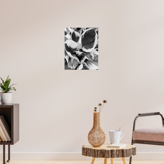 Bunte Hosta Schwarz-Weiß-Blumenbild Poster (Wohnzimmer 3)