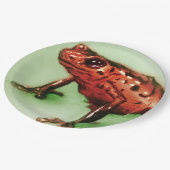 Bunte illustrierte Papierplatte - Frosch Pappteller (Schrägansicht)