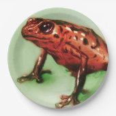 Bunte illustrierte Papierplatte - Frosch Pappteller (Vorderseite)