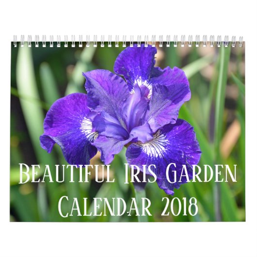 Bunte Iris-Blumen Kalender (Titelbild)
