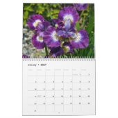 Bunte Iris-Blumen Kalender (Jan 2027)