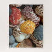 Bunte Kammmuscheln Puzzle (Vertikal)