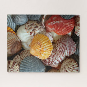 Bunte Kammmuscheln Puzzle