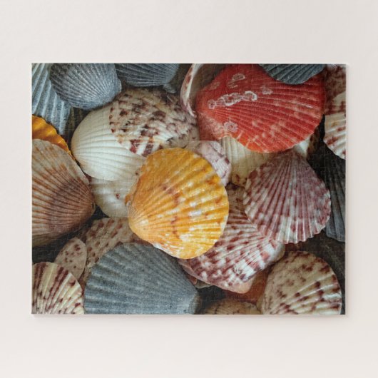 Bunte Kammmuscheln Puzzle (Horizontal)