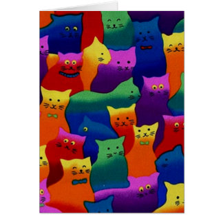 Bunte Katzen