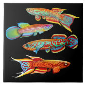 Bunte Killifish-Fliese Fliese (Vorderseite)