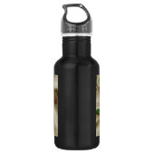 Bunte kletternde Wand-Felsen Trinkflasche (Rückseite)