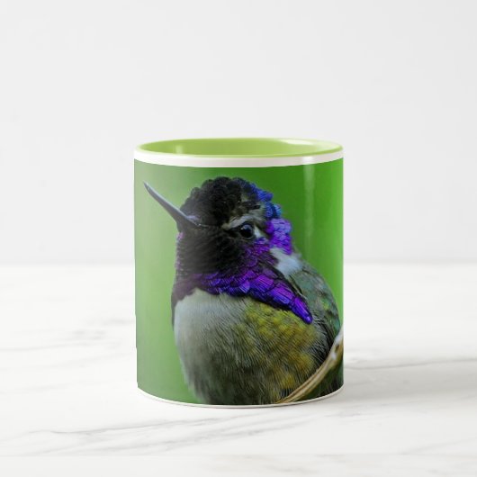 Bunte Kolibri-Tasse Zweifarbige Tasse (Mittel)