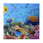 Bunte Korallenriff-Lebewesen Fliese (Vorderseite)