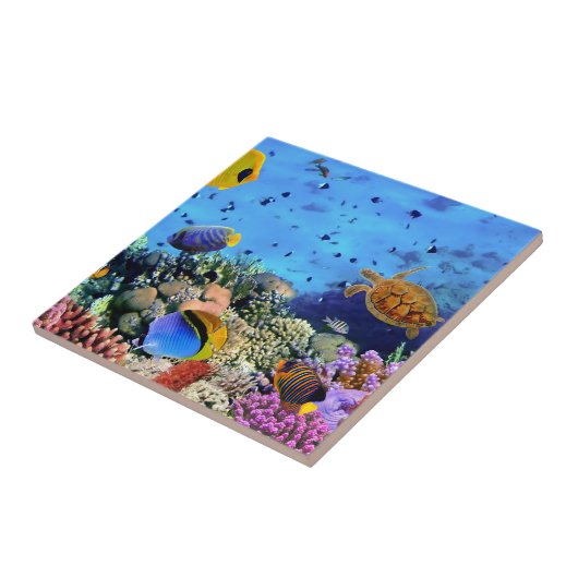 Bunte Korallenriff-Lebewesen Fliese (Seite)