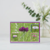 Bunte Kornblumen Collage DIY Postkarte (Stehend Vorderseite)