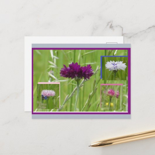 Bunte Kornblumen Collage DIY Postkarte (Vorderseite/Rückseite Beispiel)