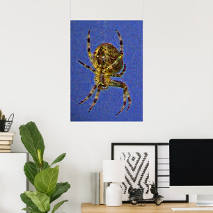 Bunte Kugelspinne Poster