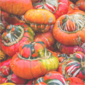 Bunte Kürbis Aufkleber (Vorderseite)