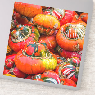 Bunte Kürbis Aufkleber