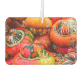 Bunte Kürbis Autolufterfrischer (Rückseite)