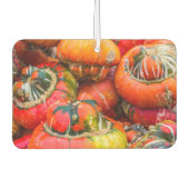 Bunte Kürbis Autolufterfrischer (Vorderseite)