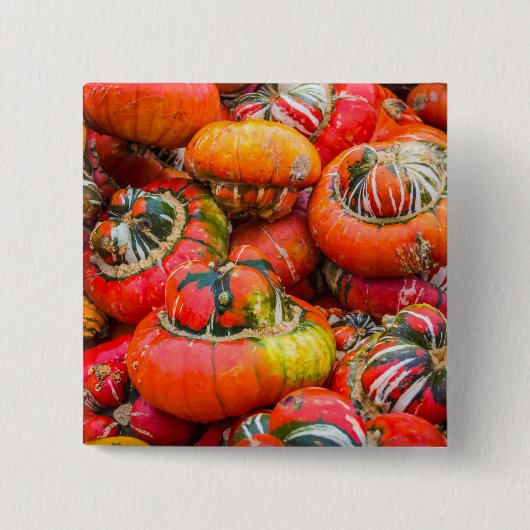 Bunte Kürbis Button (Vorderseite)