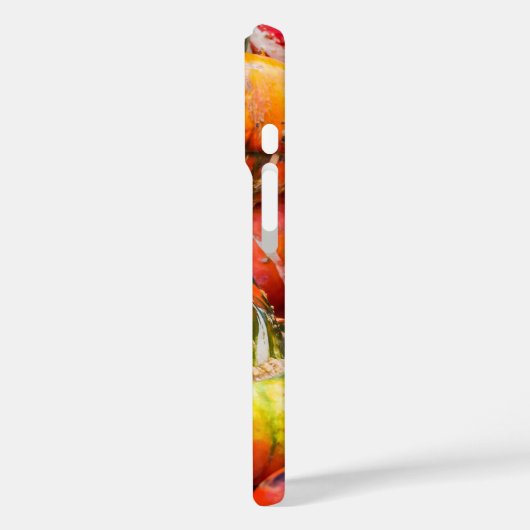 Bunte Kürbis Case-Mate iPhone Hülle (Rückseite / Links)