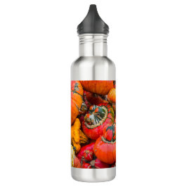 Bunte Kürbis Edelstahlflasche