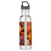 Bunte Kürbis Edelstahlflasche (Rückseite)
