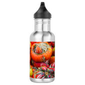 Bunte Kürbis Edelstahlflasche (Rechts)