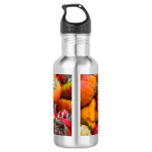 Bunte Kürbis Edelstahlflasche (Rückseite)
